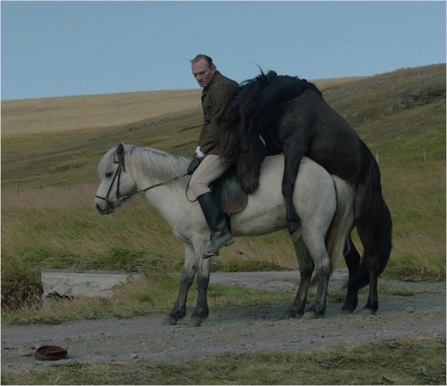 DES CHEVAUX ET DES HOMMES