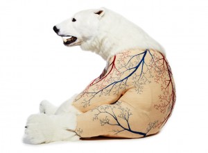 deborah-simon-bears-designboom-02